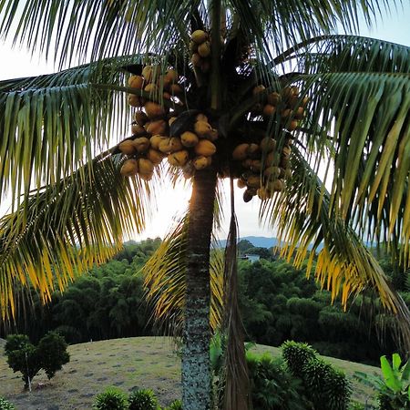 Finca Hotel Los Cocos Монтенегро Екстер'єр фото
