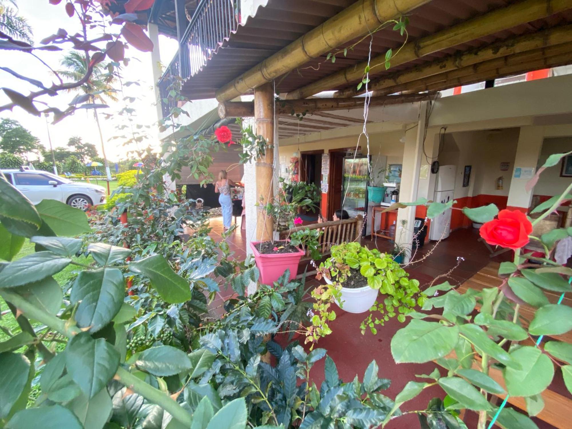 Finca Hotel Los Cocos Монтенегро Екстер'єр фото